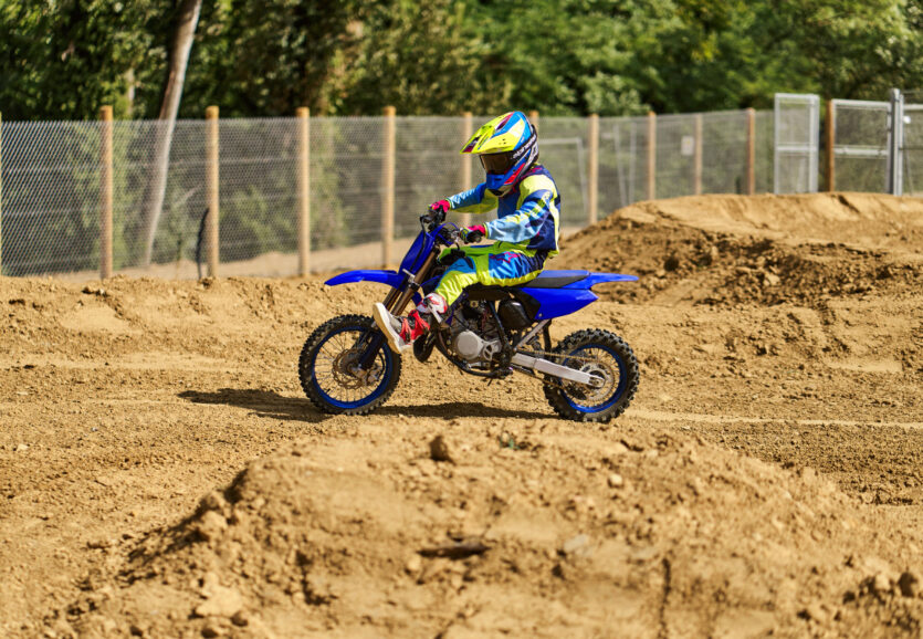 CLLBN_CA05033 CLLBN_CA05033